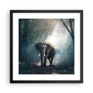 Póster en marco negro - Un paseo tranquilo - 40x40 cm