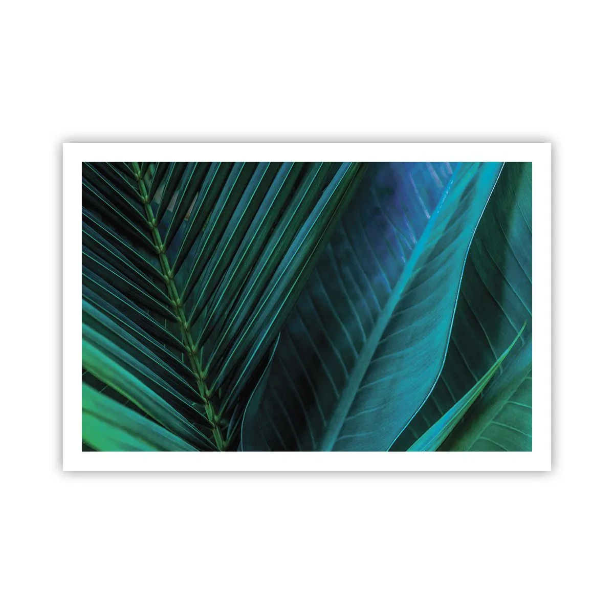 Póster - Anatomía del verde - 91x61 cm