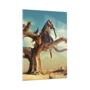 Cuadro sobre vidrio - Impresiones sobre Vidrio - Un elefante sentado en un árbol con el desierto como fondo. - 50x70cm - Un nuevo punto de vista - Decoración de pared moderna para salón y dormitorio ARTTOR