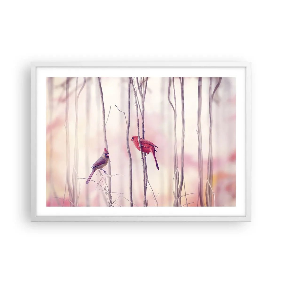 Póster en marco blanco - Historia de un bosque rosa - 70x50 cm