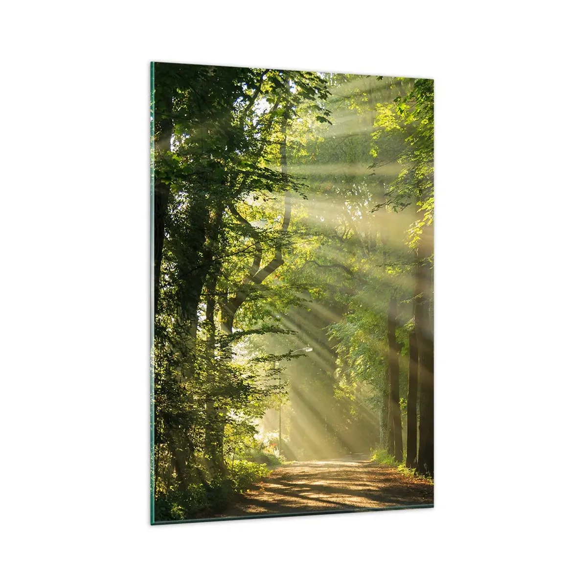 Cuadro sobre vidrio - Impresiones sobre Vidrio - Camino forestal con rayos de sol brillando a través de los árboles. - 80x120cm - Un momento en el bosque - Decoración de pared moderna para salón y dormitorio ARTTOR