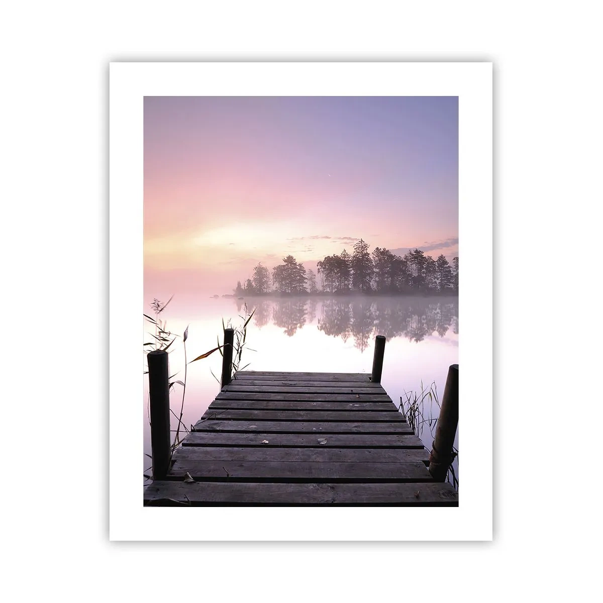 Póster - De la niebla lila... - 40x50 cm