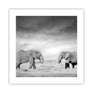 Póster - El gris es hermoso - 40x40 cm