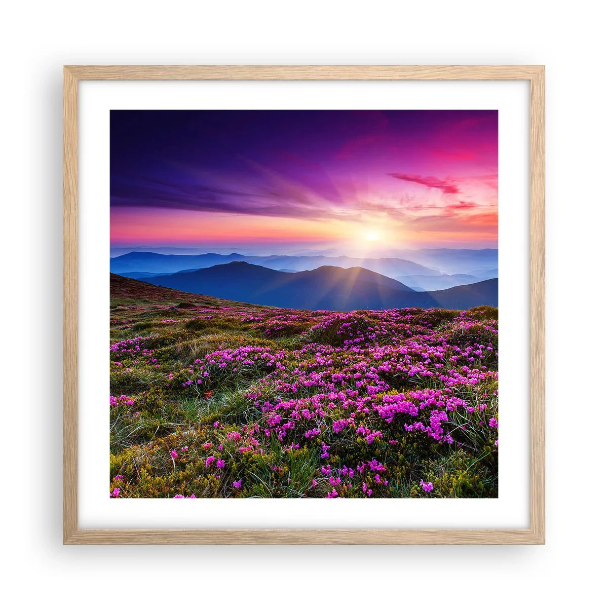 Póster en marco roble claro - Dulce aroma a frescura - 50x50 cm