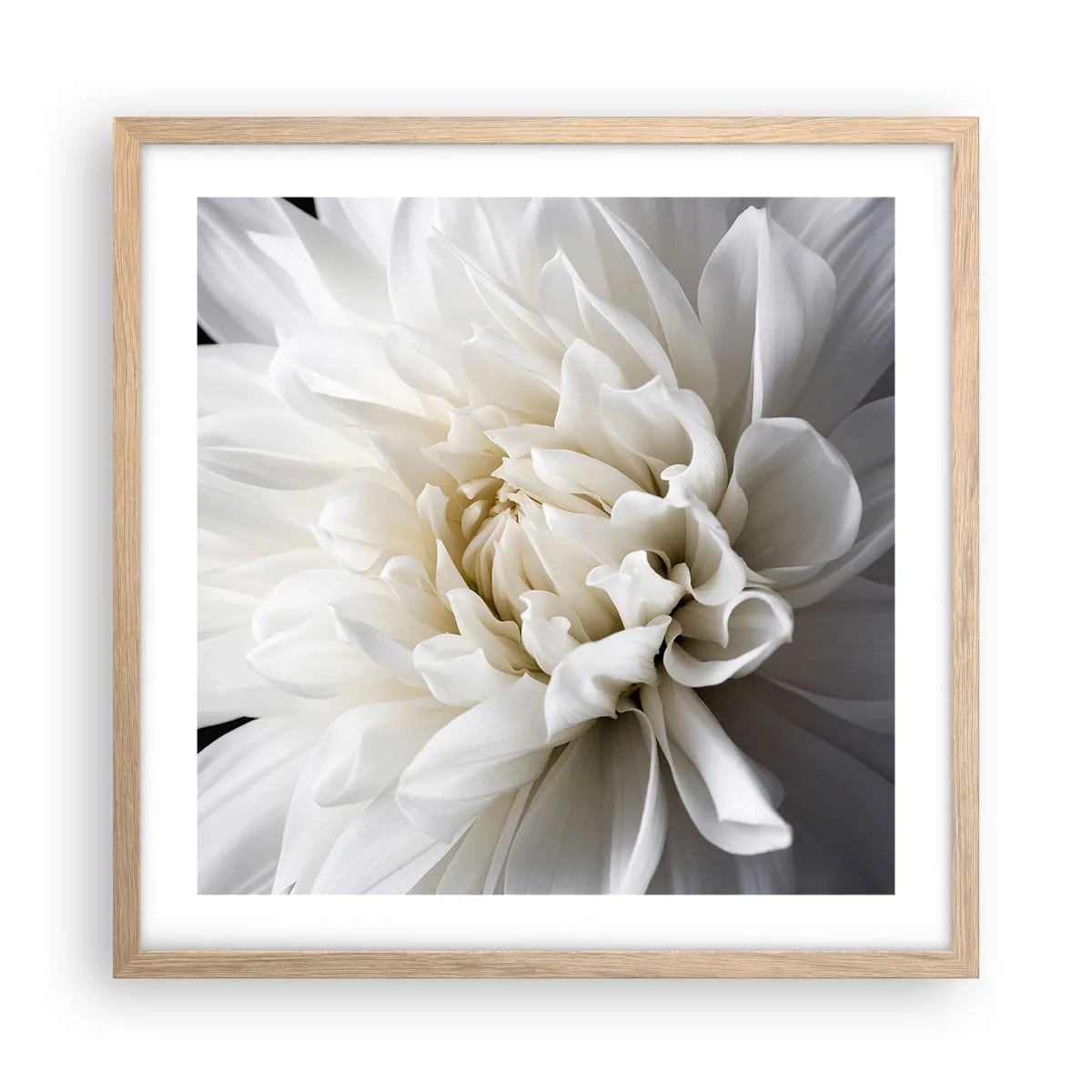 Póster en marco roble claro - La novia de la mañana - 50x50 cm