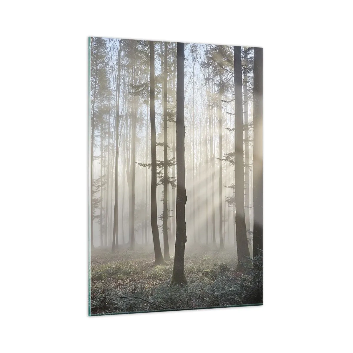 Cuadro sobre vidrio - Impresiones sobre Vidrio - Los rayos del sol de la mañana penetran en el bosque brumoso. - 50x70cm - La niebla también está despierta - Decoración de pared moderna para salón y dormitorio ARTTOR