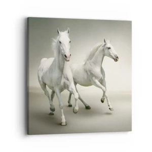 Cuadro sobre lienzo - Impresión de Imagen - ¡Poder blanco! - 40x40 cm