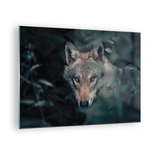 Cuadro sobre vidrio - Impresiones sobre Vidrio - Un lobo observa atentamente desde su escondite en la espesura del bosque. - 70x50cm - Cazador - Decoración de pared moderna para salón y dormitorio ARTTOR