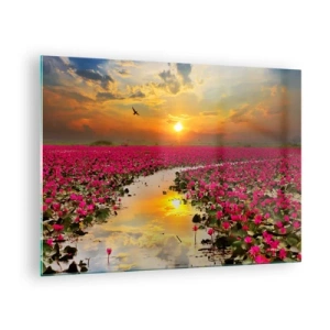 Cuadro sobre vidrio - Impresiones sobre Vidrio - Nenúfares rosados en un lago al atardecer - 70x50cm - La vida secreta del lago - Decoración de pared moderna para salón y dormitorio ARTTOR