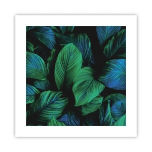 Póster - En la multitud verde - 40x40 cm