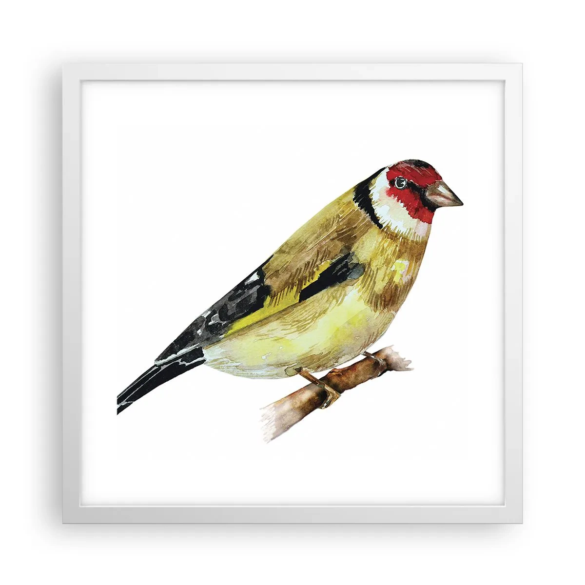Póster en marco blanco - Retrato de pájaro - 40x40 cm