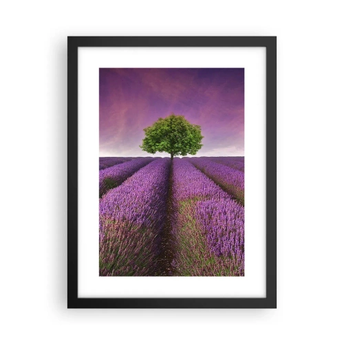 Póster en marco negro - En los campos de lavanda - 30x40 cm