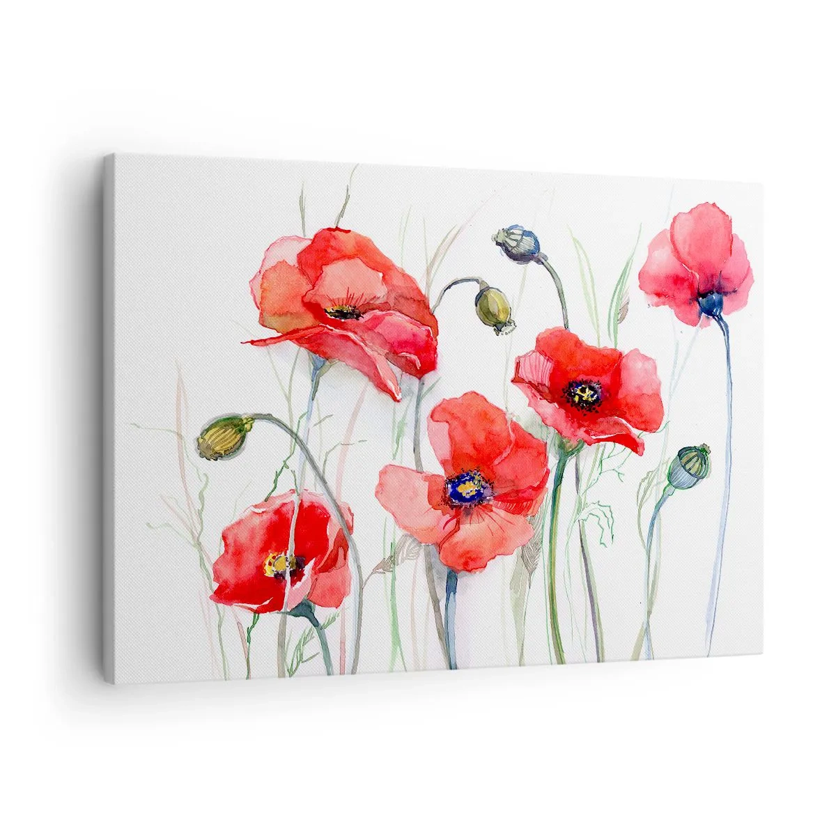 Cuadro sobre lienzo - Impresión de Imagen - Amapolas de acuarela sobre un fondo delicado - 70x50cm - Flores polacas - Decoración de pared moderna para salón y dormitorio ARTTOR