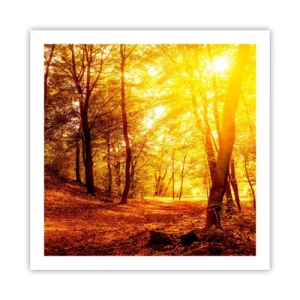 Póster - Hacia un claro de oro - 60x60 cm