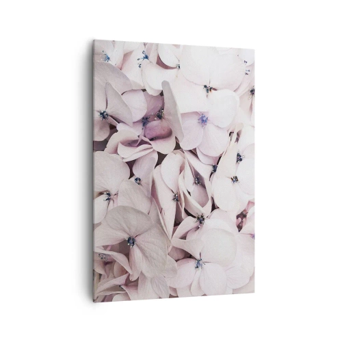 Cuadro sobre lienzo - Impresión de Imagen - Delicadas hortensias blancas en tonos pastel. - 70x100cm - En un torrente de flores - Decoración de pared moderna para salón y dormitorio ARTTOR