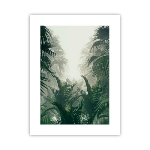Póster - Misterio tropical - 30x40 cm