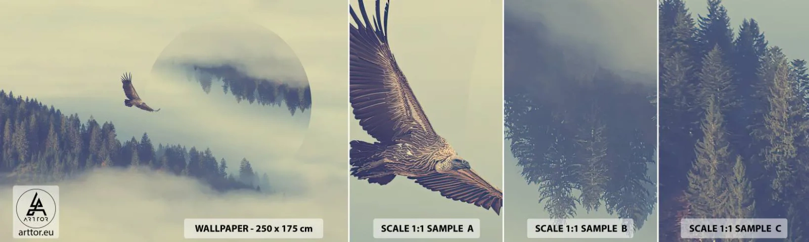 Muestra de fotomural autoadhesivo Deluxe Sticker - Vi la sombra de un águila - Águila, Pájaro, Bosque - 100x30 cm