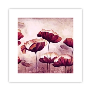 Póster - Pétalo rojo y blanco - 30x30 cm