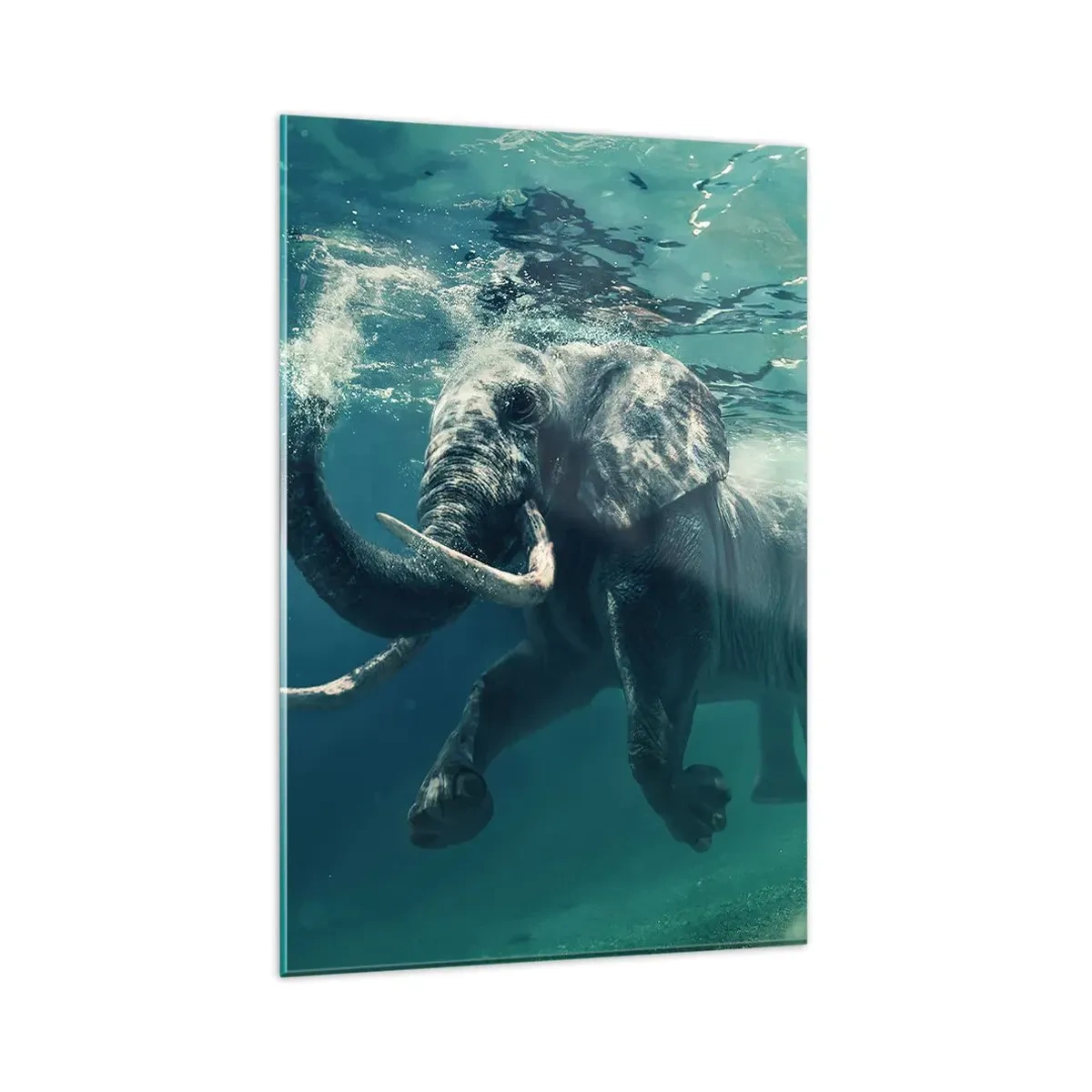 Cuadro sobre vidrio - Impresiones sobre Vidrio - Un elefante nadando bajo el agua en las profundidades turquesas. - 80x120cm - A todos nos gusta nadar - Decoración de pared moderna para salón y dormitorio ARTTOR