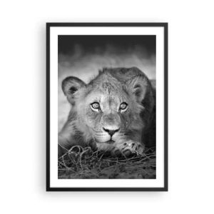 Póster en marco negro - Un león joven en tonos monocromáticos. - 50x70cm - Un cachorro real - Decoración de pared moderna para salón y dormitorio ARTTOR