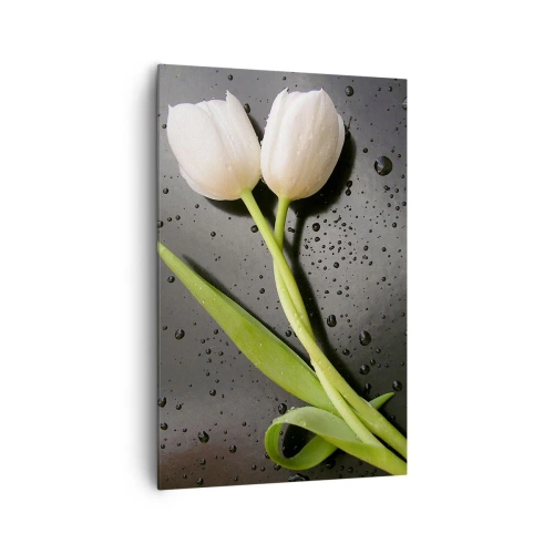Cuadro sobre lienzo - Impresión de Imagen - Tulipanes blancos sobre fondo negro con gotas de agua. - 80x120cm - Primavera - Decoración de pared moderna para salón y dormitorio ARTTOR
