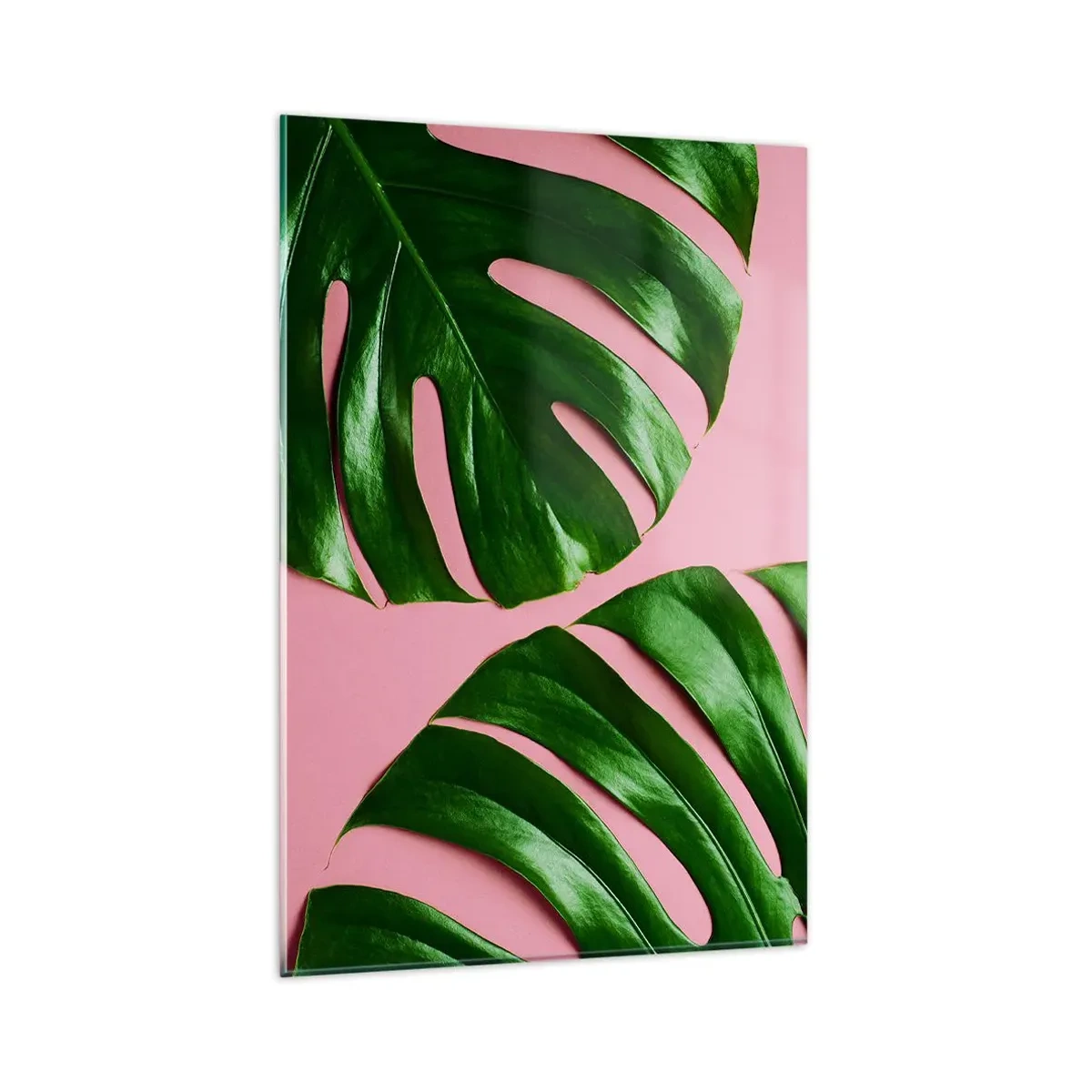 Cuadro sobre vidrio - Impresiones sobre Vidrio - Hojas de monstera verde sobre un fondo rosa - 80x120cm - Cita con el verde - Decoración de pared moderna para salón y dormitorio ARTTOR