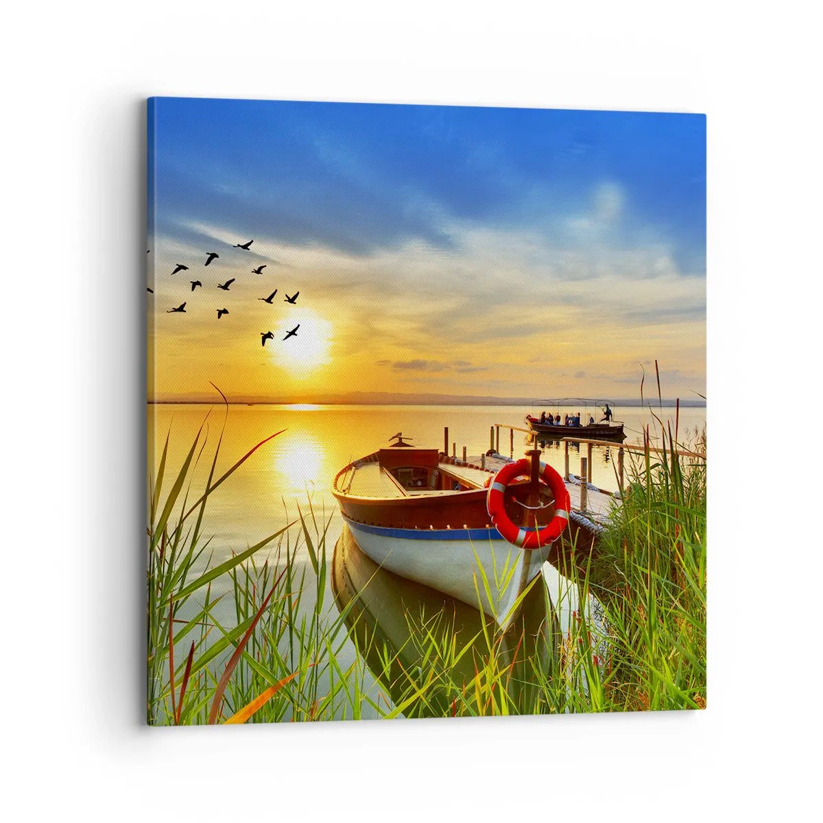 Cuadro sobre lienzo - Impresión de Imagen - Los cormoranes están volando - 70x70 cm