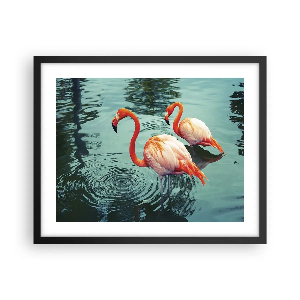 Póster en marco negro - Estamos de moda - 50x40 cm