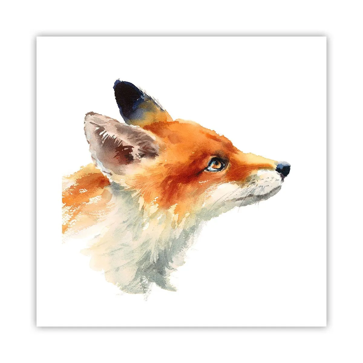 Póster - Nunca se es demasiado cuidadoso - 40x40 cm