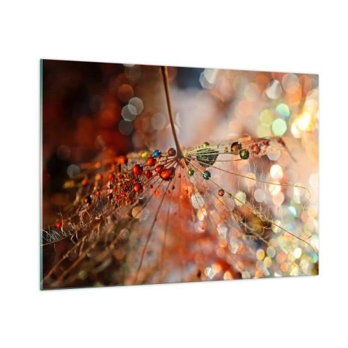 Cuadro sobre vidrio - Impresiones sobre Vidrio - Gotas de agua sobre una delicada telaraña con luz bokeh - 100x70cm - En una tela de araña - Decoración de pared moderna para salón y dormitorio ARTTOR