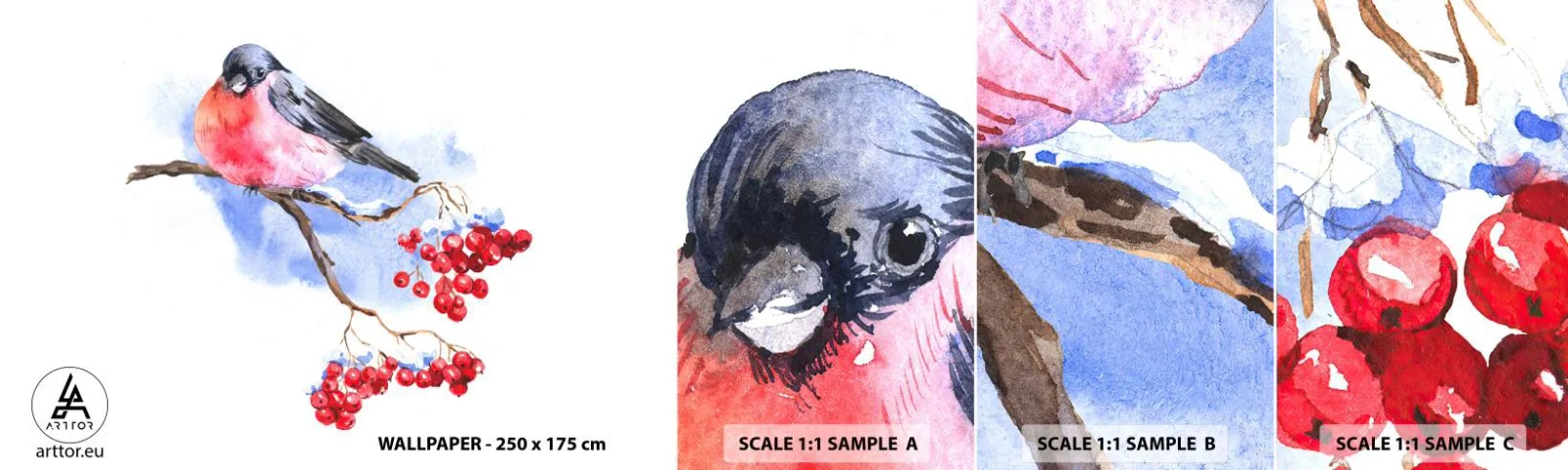 Muestra de fotomural autoadhesivo Deluxe Sticker - Invierno en color - pájaro en una rama, serbal rojo, Gráficos - 100x30 cm