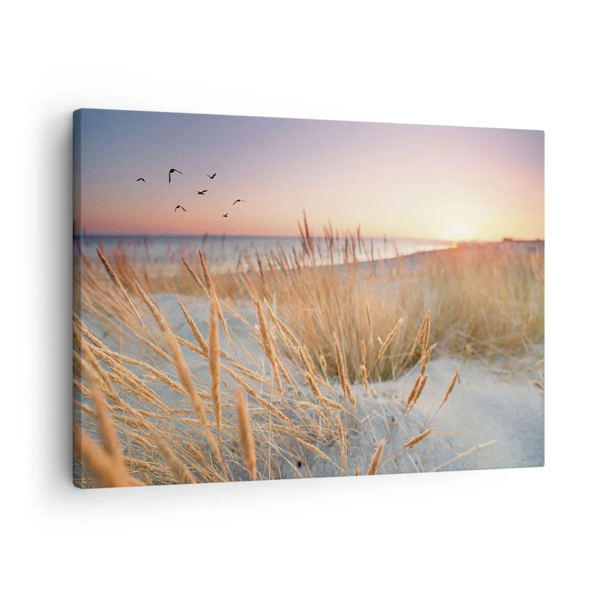 Cuadro sobre lienzo - Impresión de Imagen - Playa al atardecer con hierbas altas - 70x50cm - Dulce nana del Báltico - Decoración de pared moderna para salón y dormitorio ARTTOR