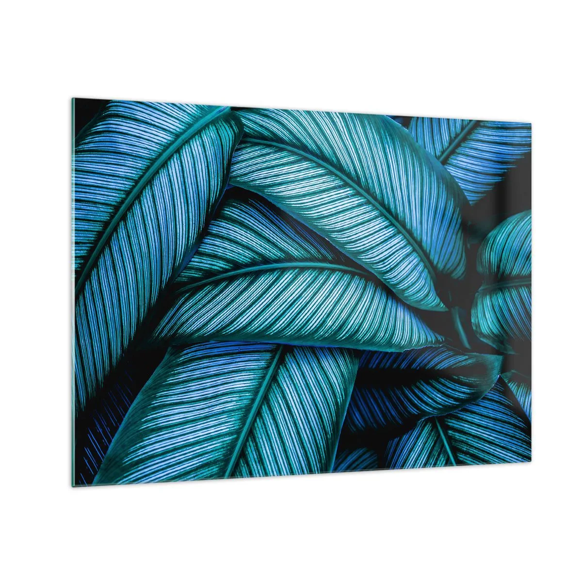 Cuadro sobre vidrio - Impresiones sobre Vidrio - Un primer plano de hojas turquesas con una textura intensa. - 70x50cm - Líneas de vida - Decoración de pared moderna para salón y dormitorio ARTTOR