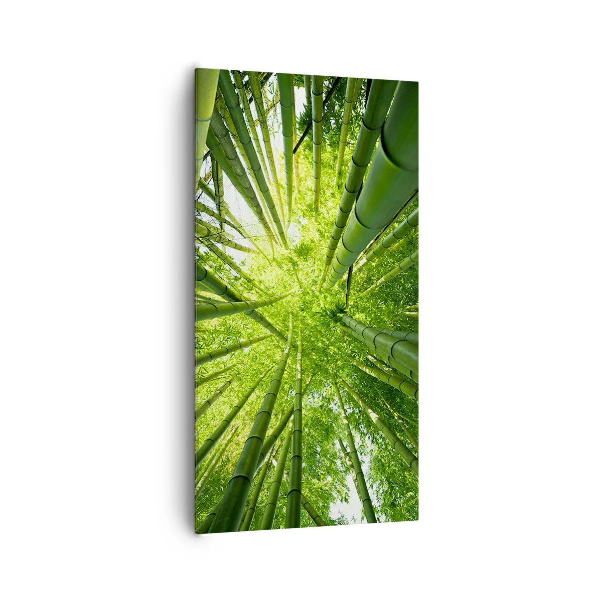 Cuadro sobre lienzo - Impresión de Imagen - En un bosquecillo de bambú - 65x120 cm