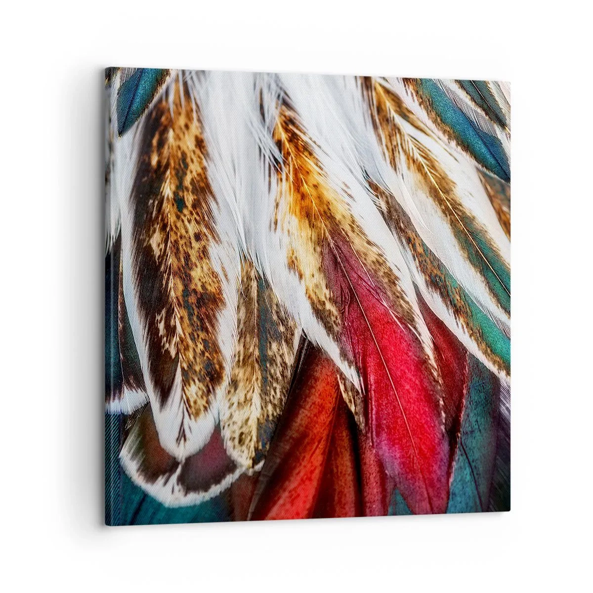 Cuadro sobre lienzo - Impresión de Imagen - Los misterios del vuelo - 60x60 cm