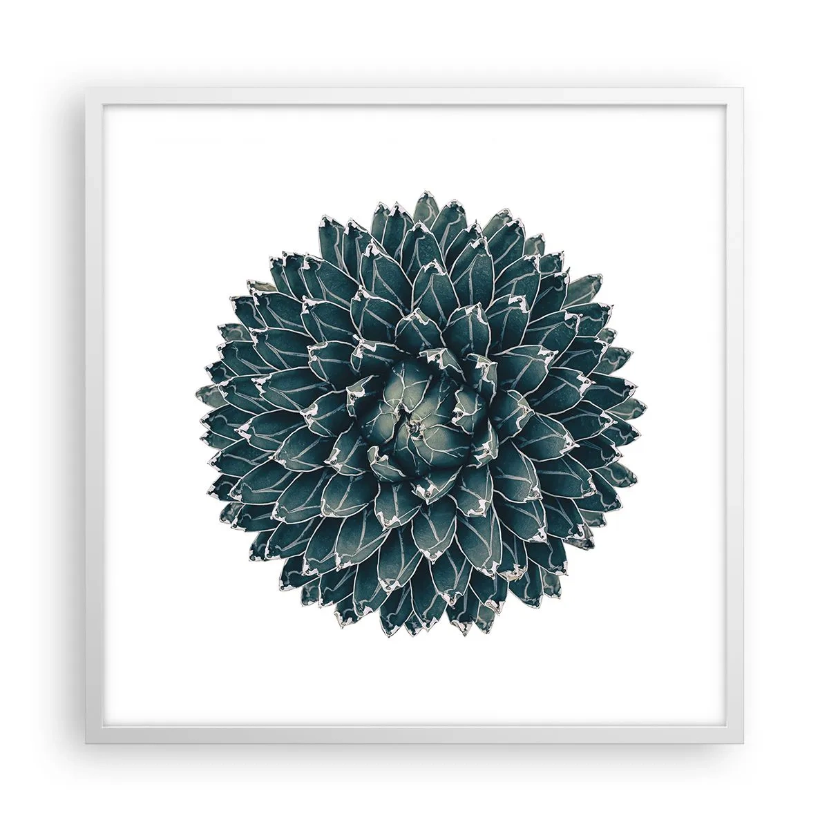 Póster en marco blanco - Estrella del desierto - 60x60 cm