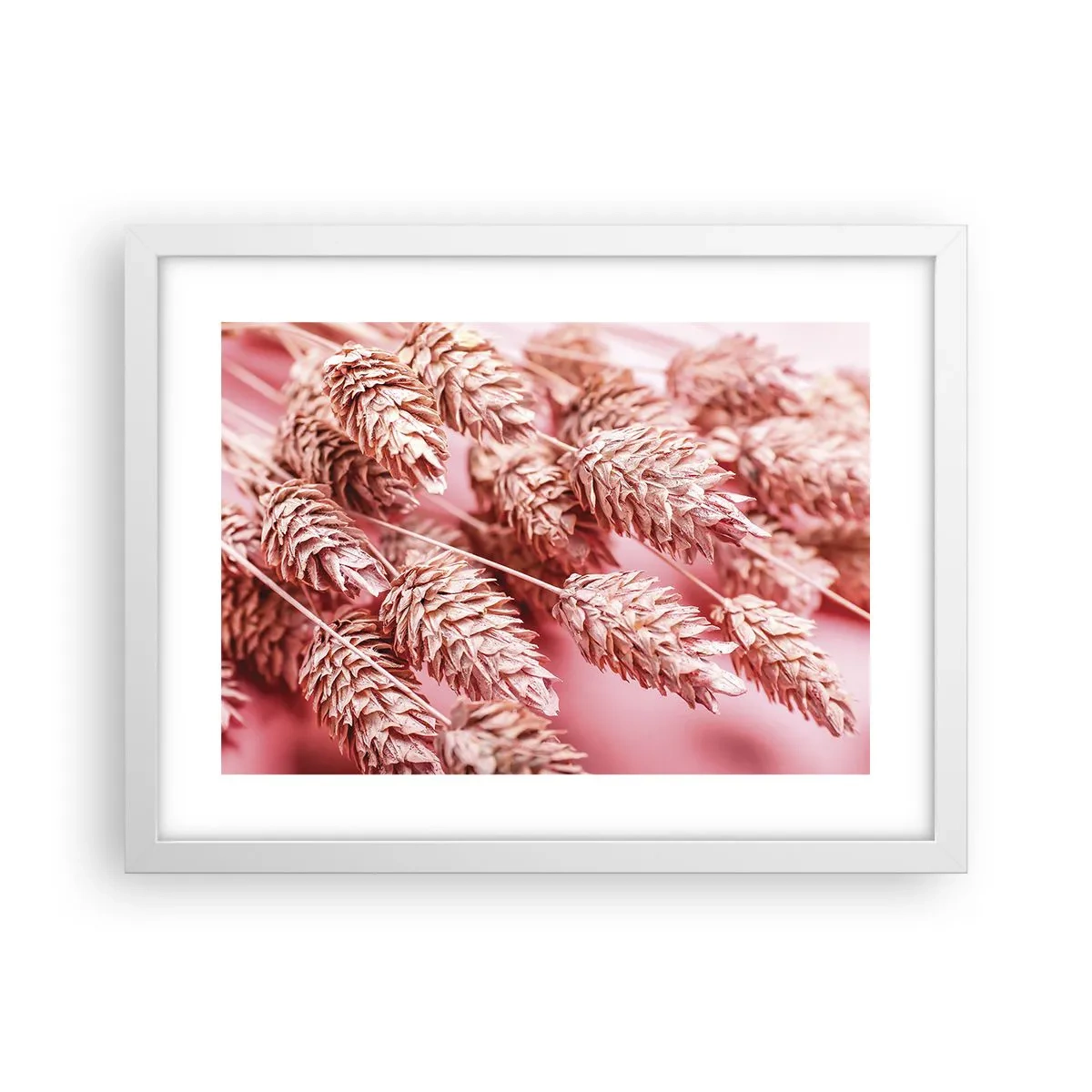 Póster en marco blanco - Estructura floral en rosa - 40x30 cm