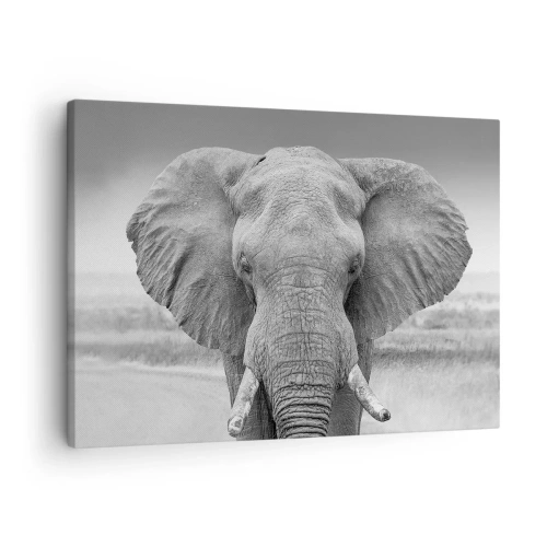 Cuadro sobre lienzo - Impresión de Imagen - Retrato de un elefante en blanco y negro - 70x50cm - Bienvenido a mi mundo - Decoración de pared moderna para salón y dormitorio ARTTOR