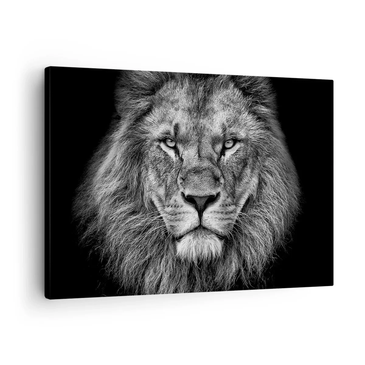 Cuadro sobre lienzo - Impresión de Imagen - Retrato de un majestuoso león en blanco y negro - 70x50cm - Con el atuendo de la coronación - Decoración de pared moderna para salón y dormitorio ARTTOR