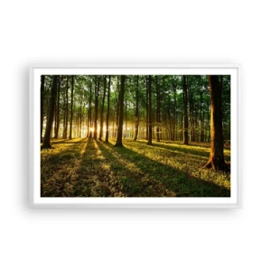 Póster en marco blanco - Una fotografía de todos los manantiales - 91x61 cm