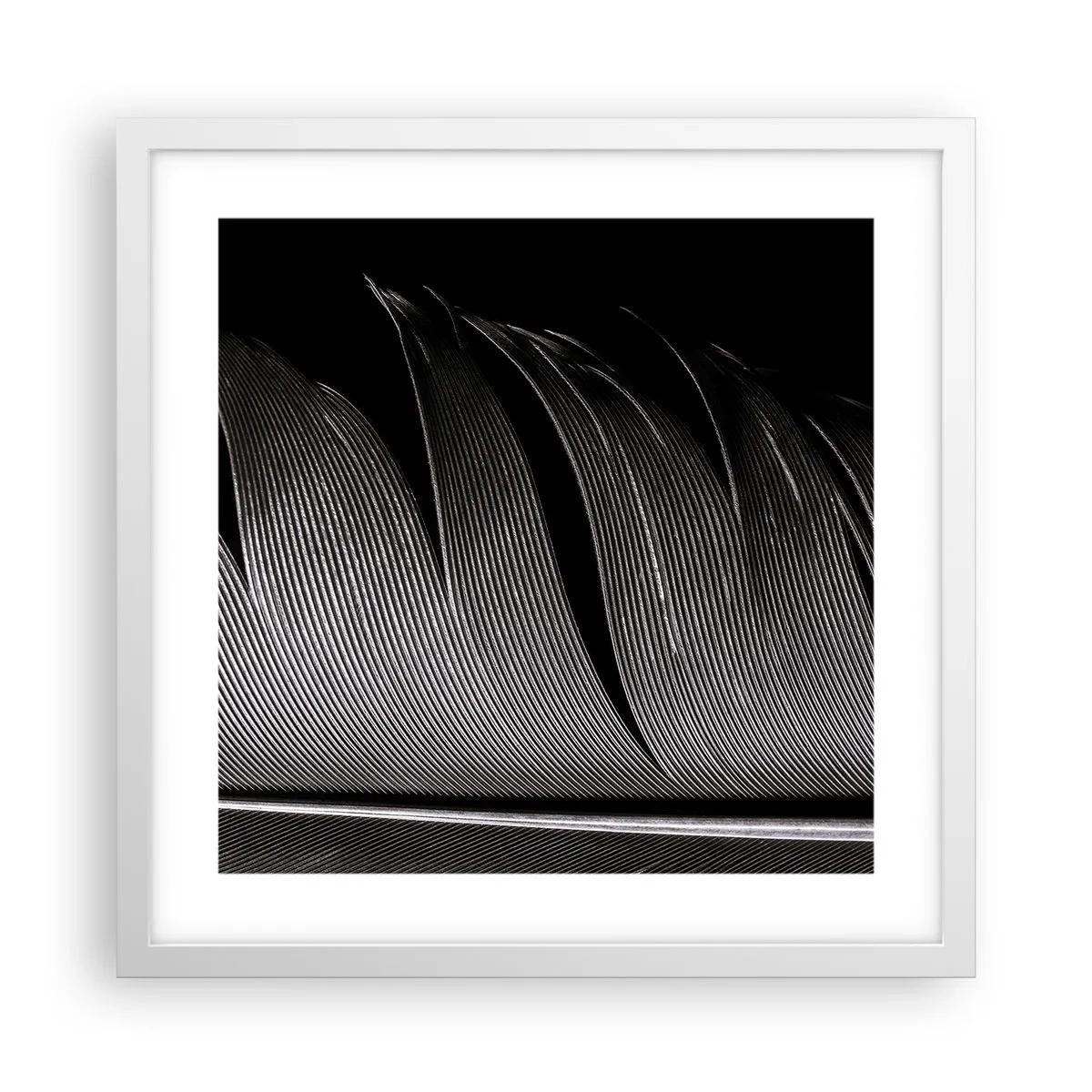 Póster en marco blanco - Pluma - una construcción maravillosa - 40x40 cm