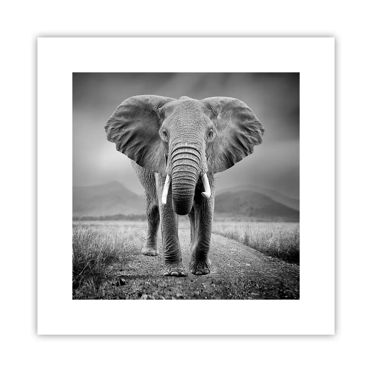 Póster - El anfitrión da la bienvenida - 30x30 cm