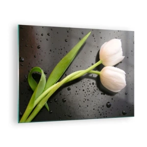 Cuadro sobre vidrio - Impresiones sobre Vidrio - Tulipanes blancos sobre un fondo con gotas de agua. - 70x50cm - Primavera - Decoración de pared moderna para salón y dormitorio ARTTOR