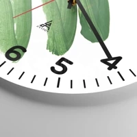 Esfera con numeración