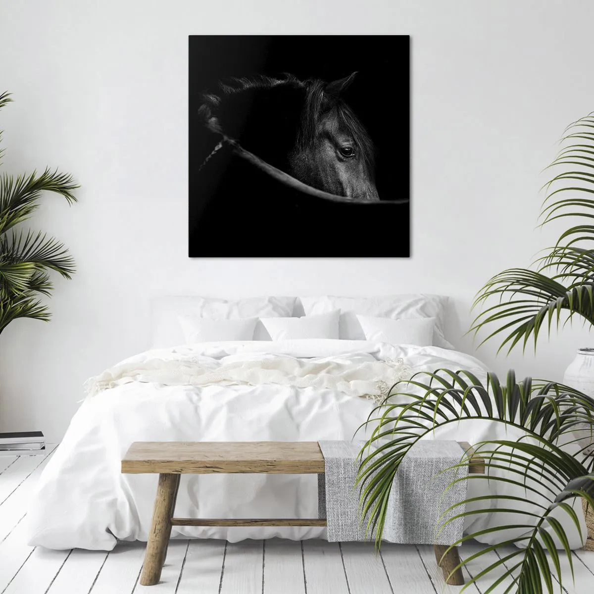 Cuadro sobre lienzo - Impresión de Imagen - Príncipe negro - 60x60 cm