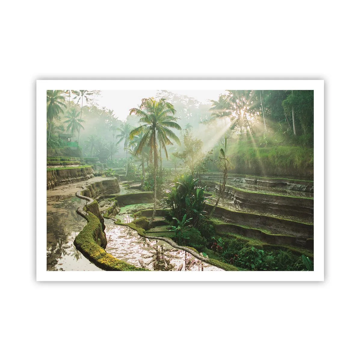 Póster - Terrazas de arroz con palmeras bajo los rayos del sol - 100x70cm - Crecer bajo el sol - Decoración de pared moderna para salón y dormitorio ARTTOR