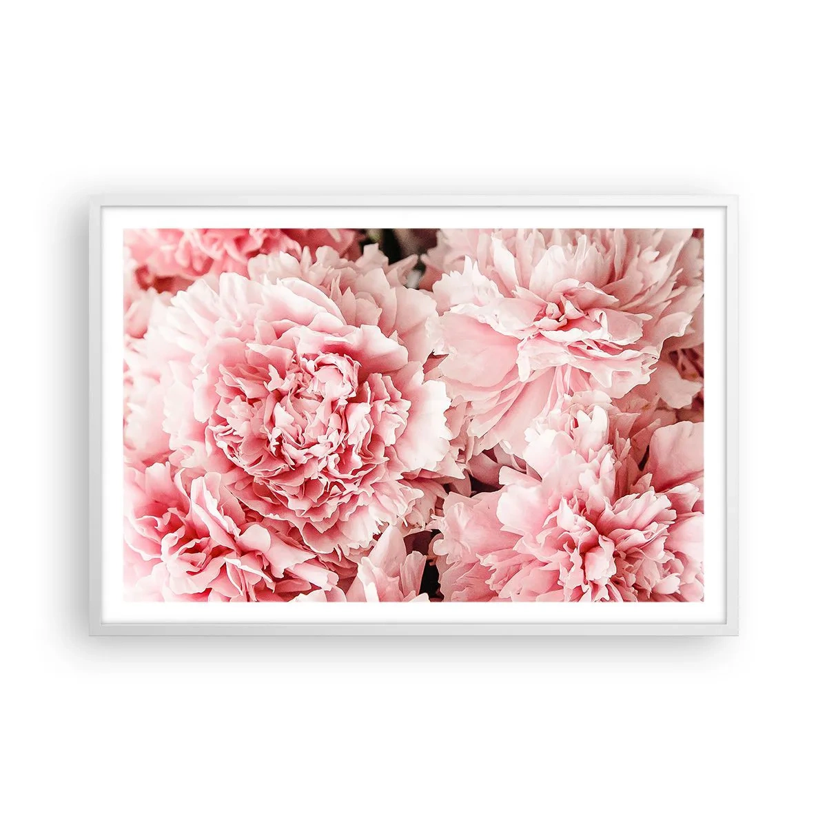 Póster en marco blanco - Sueño rosa - 91x61 cm