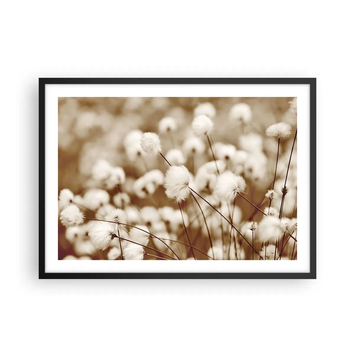 Póster en marco negro - Un campo de delicadas plantas en tonos sepia. - 70x50cm - Un mullido colchón - Decoración de pared moderna para salón y dormitorio ARTTOR