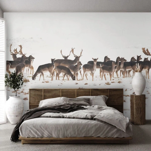 Fotomural personalizado Standard Eco - ¿Se acerca la Navidad? - animales, Ciervo, Naturaleza