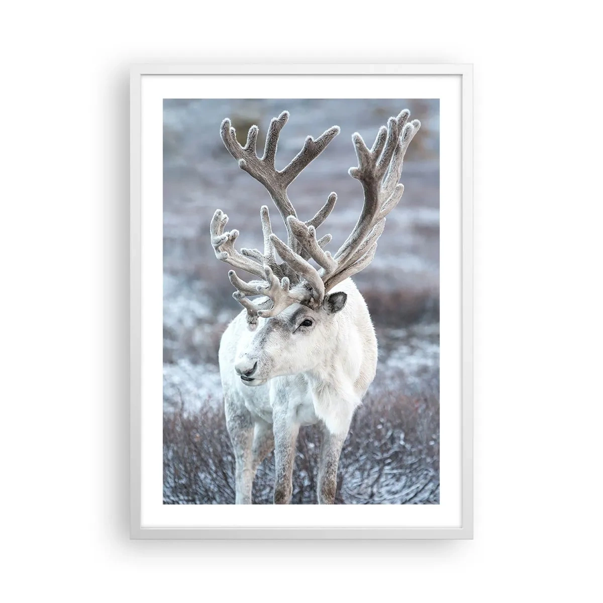 Póster en marco blanco - Retrato al sol - 50x70 cm